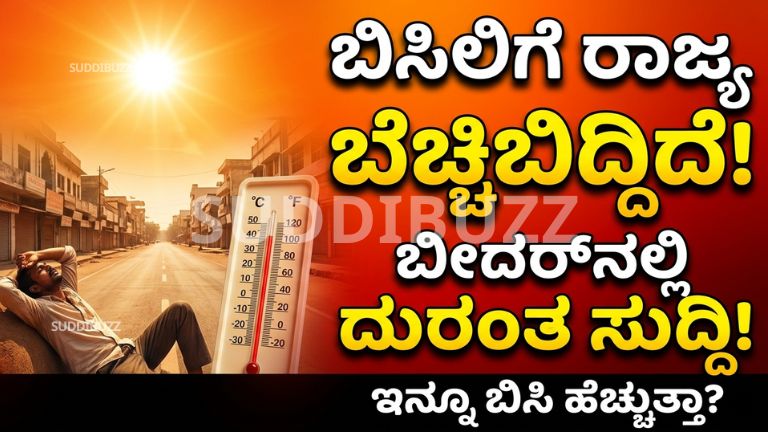 Karnataka Heat Crisis
