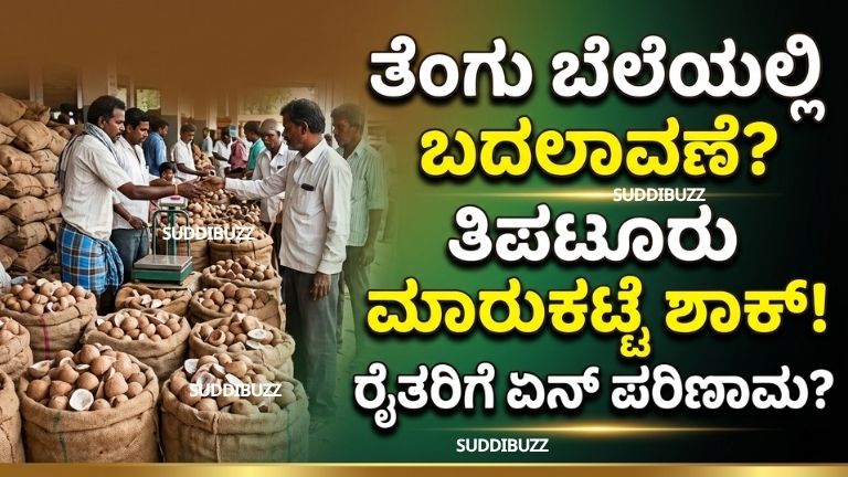 Coconut Economy Karnataka