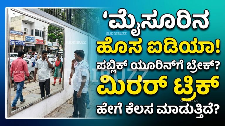 Mysuru Public Hygiene Drive
