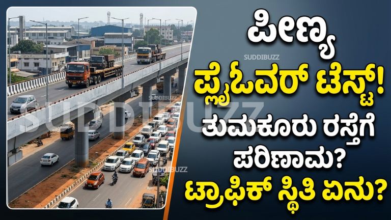 Peenya Elevated Flyover