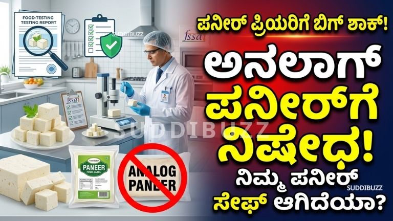 Paneer Safety